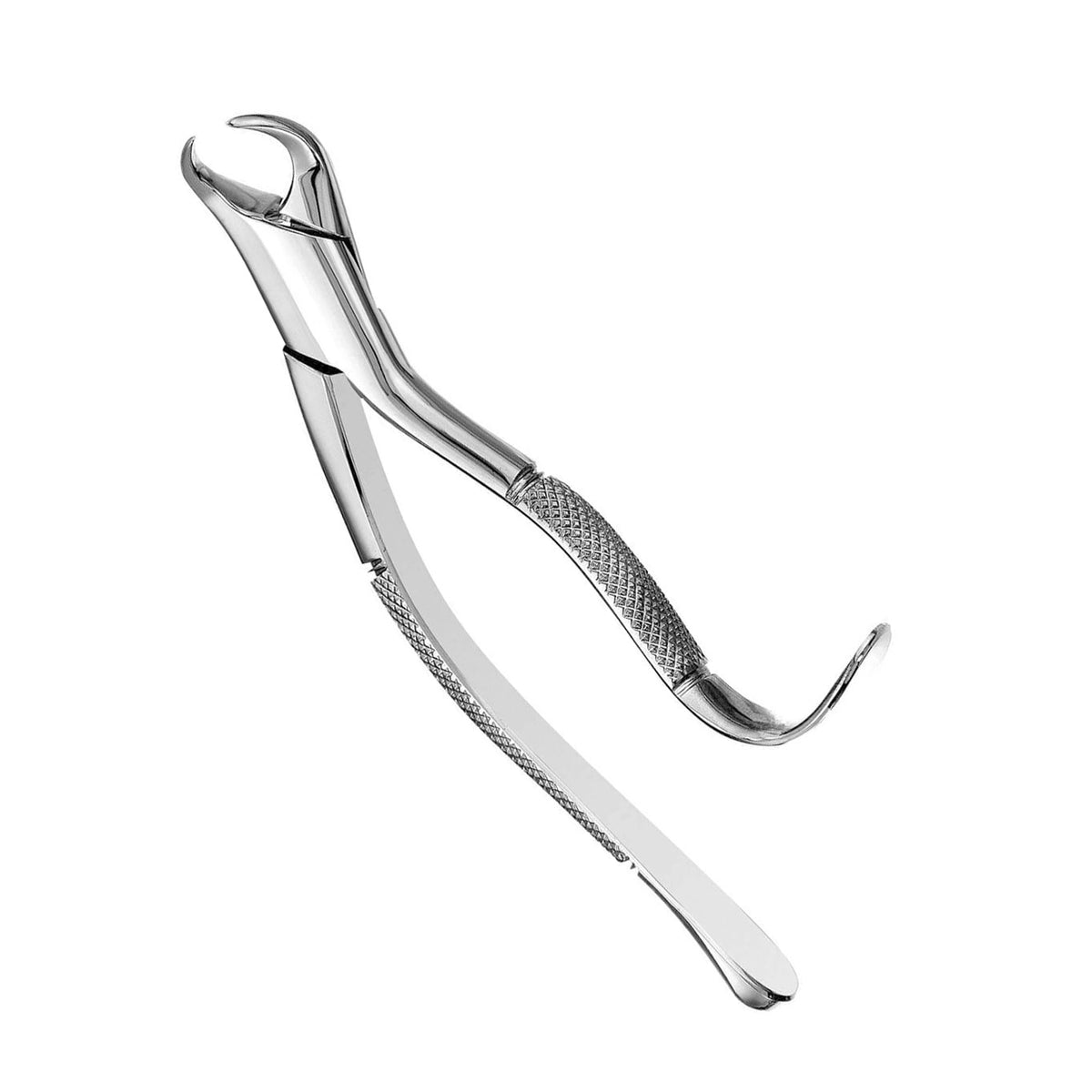 Forceps 16 store