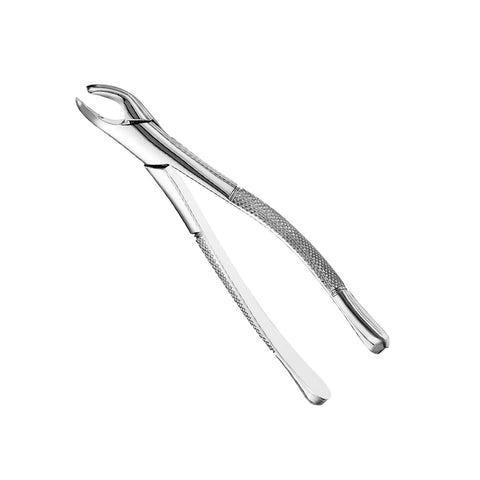 Dental Forceps N0. 151